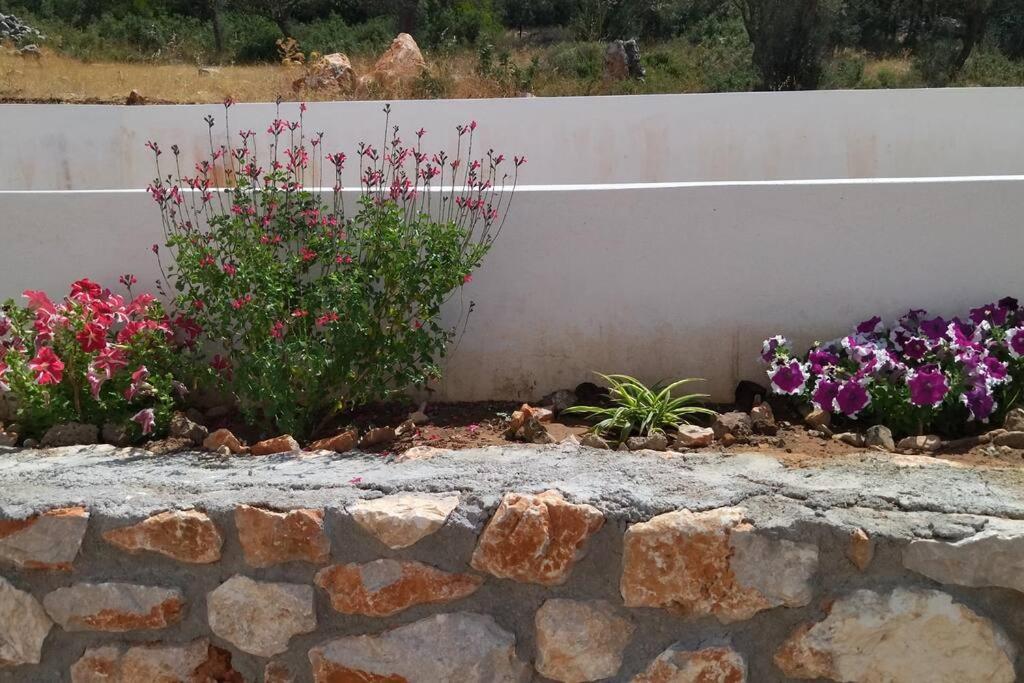 Smailis Apartment 1 Koroni  エクステリア 写真